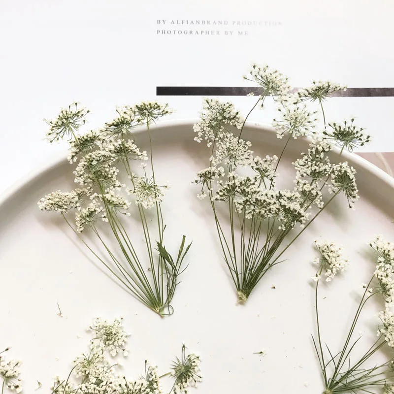 5-7cm/12pcs,Snow Tiny Flowers  - огляд і ціна Craft Embellishments